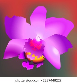 The beautiful orchid flower, vector illustration