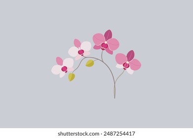 "Beautiful Orchid flowers vector artwork" is a stunning digital product featuring intricate designs of orchid blooms. It's perfect for graphic design projects.