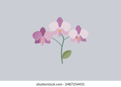 "Beautiful Orchid flowers vector artwork" is a stunning digital product featuring intricate designs of orchid blooms. It's perfect for graphic design projects.