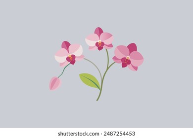 "Beautiful Orchid flowers vector artwork" is a stunning digital product featuring intricate designs of orchid blooms. It's perfect for graphic design projects.