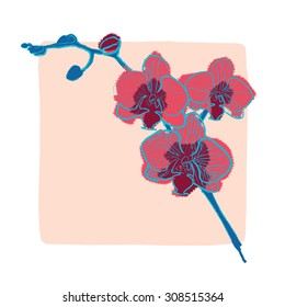  Beautiful orchid illustration in vector