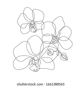 Beautiful orchids line art pattern. Exotic flowers drawing on simple background. Continuous line drawing of tropical orchids. Hand drawn vector floral illustration