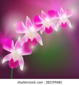Beautiful Orchids on blurred dark background. Vector