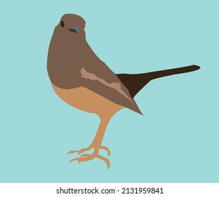 Beautiful oriental magpie robin bird vector art Illustrator 
