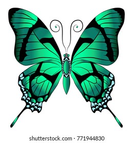 Beautiful ornamental emerald butterfly. Vector illustration isolated on white background.