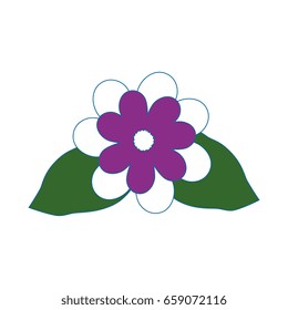 Beautiful ornamental flower