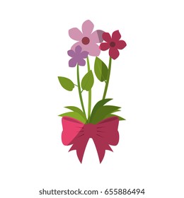 Beautiful ornamental flowers