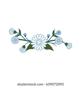 Beautiful ornamental flowers