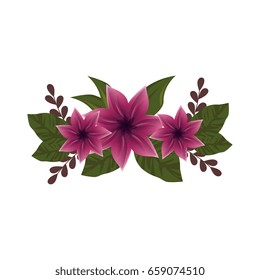 Beautiful ornamental flowers