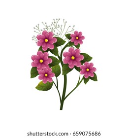 Beautiful ornamental flowers
