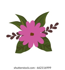 Beautiful ornamental flowers