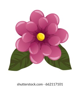 Beautiful ornamental flowers