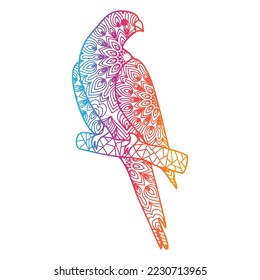 beautiful ornamental mandala parrot illustration