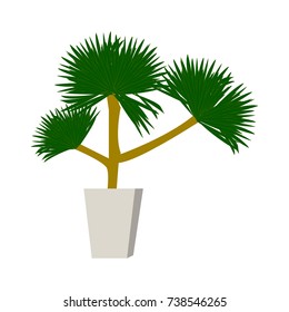 Beautiful ornamental plants for the garden and home , Green foliage in pots with gray , Isolated tree vector.