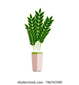 Beautiful ornamental plants for the garden and home. Green foliage in pots with gray, Isolated tree vector.