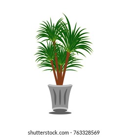 Beautiful ornamental plants for the garden and home , Green foliage in pots with gray , Isolated tree vector.