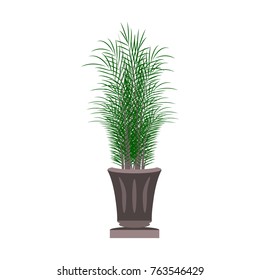 Beautiful ornamental plants for the garden and home , Green foliage in pots with gray , Isolated tree vector.