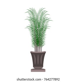 Beautiful ornamental plants for the garden and home , Green foliage in pots with gray , Isolated tree vector.