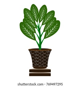 Beautiful ornamental plants for the garden and home , Green foliage in pots with gray , Isolated tree vector.