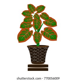 Beautiful ornamental plants for the garden and home , Green foliage in pots with gray , Isolated tree vector.