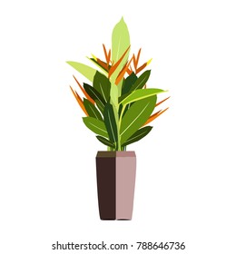 Beautiful ornamental plants for the garden and home , Green foliage in pots , Isolated tree vector.