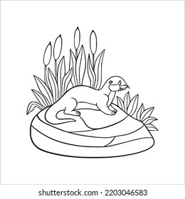 beautiful Otter line art images, Otter outline drawing,Otter vector art and Otter illustrations art coloring book pages