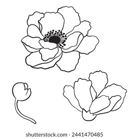 Beautiful outline art of flower