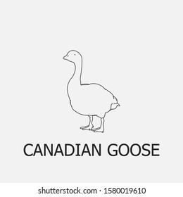 Beautiful outline canadian goose icon. Canadian goose vector symbol that can be used for mobile, internet, games and any other purpose.