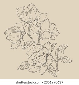 beautiful outline flower picture vector illustrator
