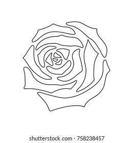 Beautiful outline of rose, Vector illustration