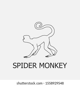 Beautiful outline spider monkey icon. Spider monkey vector symbol that can be used for mobile, internet, games and any other purpose.