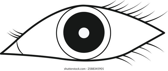 beautiful outline vector eye icon 