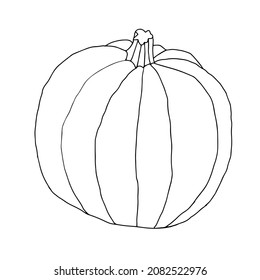 Beautiful outline vector illustration of one pumpkin for holiday halloween isolated on a white background