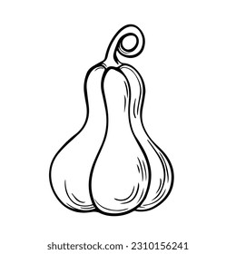 A Beautiful outline vector illustration of one decorative pumpkin isolated on a white background