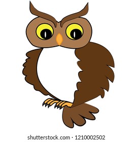 beautiful owl 01