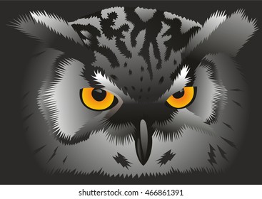 beautiful owl with bright eyes.vector illustration.