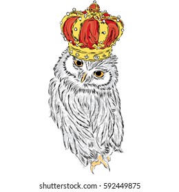 Beautiful owl with crown. Vector illustration for greeting card, poster, or print on clothes. Fashion & Style.