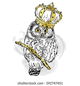 Beautiful owl with crown. Vector illustration for greeting card, poster, or print on clothes. Fashion & Style.