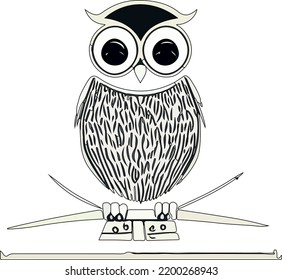 beautiful owl on white background (vector ) 