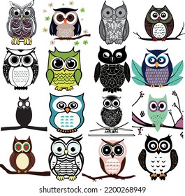 beautiful owl on white background (vector ) 