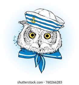 Beautiful owl in sailor clothes. Vector illustration. Bird in clothes and accessories. A sailor in a cap and tie.