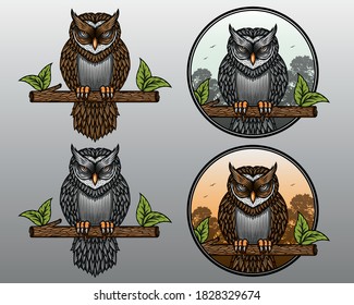 Beautiful Owl Vector Illustration Set. Owl in jungle. Angry owl