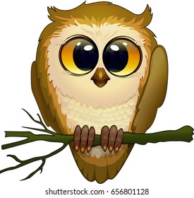 beautiful owlet