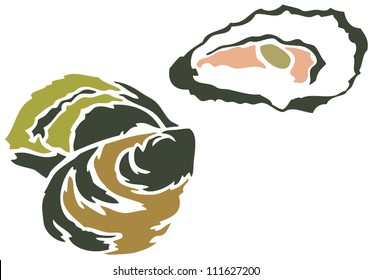 Beautiful Oysters on White Background