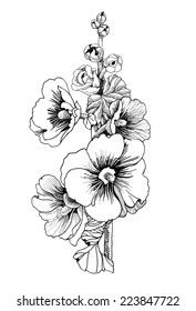 Beautiful painted flower sketch vector illustration