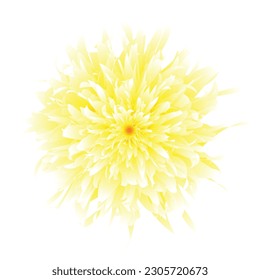 Beautiful pale yellow rose with many petals on a white background illustration, vector EPS 10 