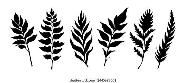 Beautiful palm leaf set silhouette background vector illustration	