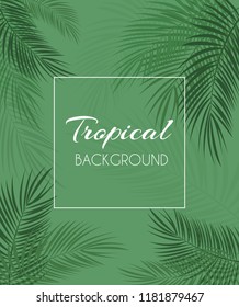 Beautiful Palm Leaf Tropical Background. Vector Illustration. EPS10