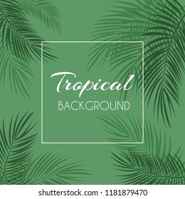 Beautiful Palm Leaf Tropical Background. Vector Illustration. EPS10