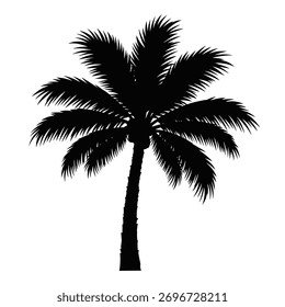 Hermosa palmera capturada en un llamativo estilo de silueta negra.